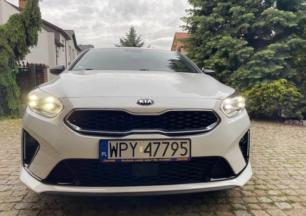 Kia Pro_cee'd cena 84900 przebieg: 90000, rok produkcji 2020 z Opoczno małe 407